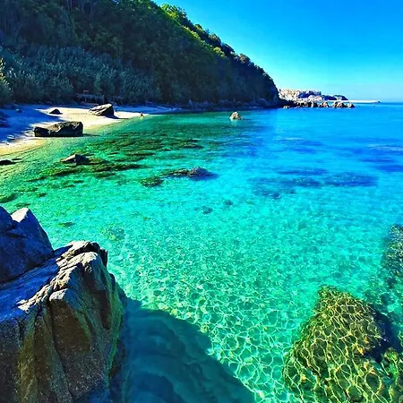 Travel's House Daire *