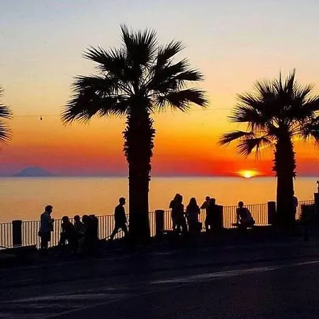 Daire Travel's House *