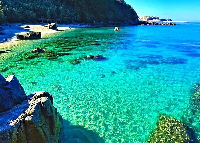 Travel's House Apartamento *